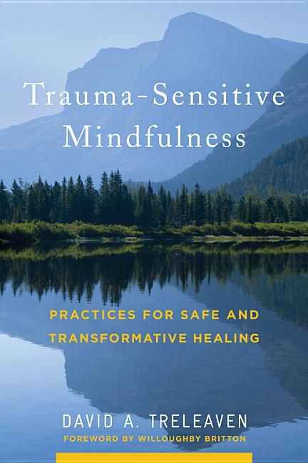 "Book cover of Trauma-Sensitive Mindfulness: Practices for Safe and Transformative Healing by David A. Treleaven, featuring a tranquil mountain lake reflecting snow-capped peaks and evergreen forests under a soft blue sky, with white and gold title text over the water and foreword by Willoughby Britton