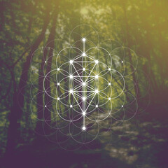 Kabbalistic Tree of Life with ten sefirot sacred geometry, Jewish mysticism and Kabbalah symbolism